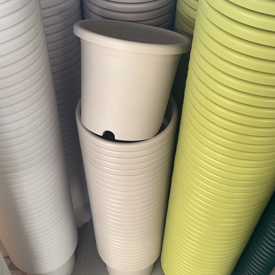 微瑕4号10个无托，灰白