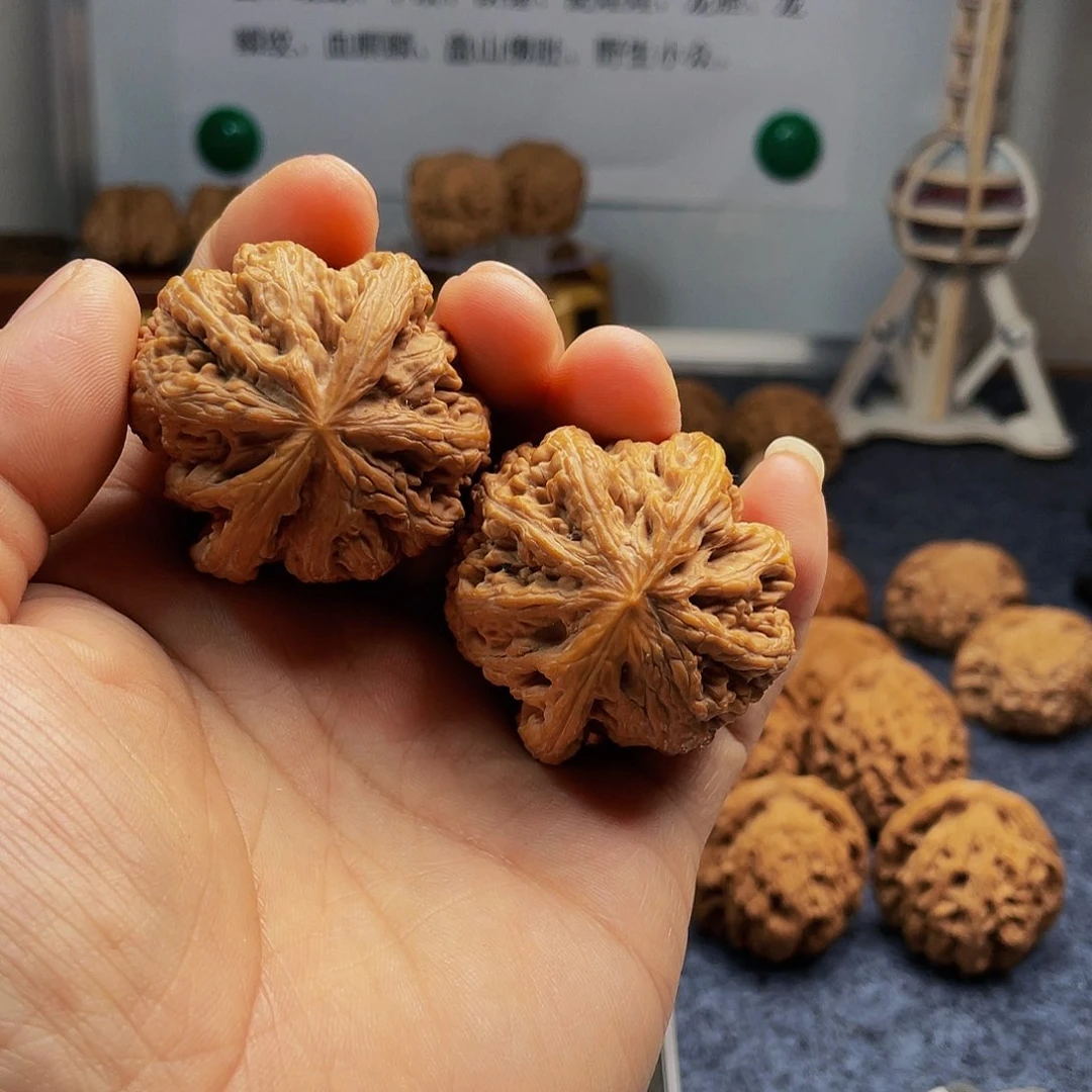 猴头核桃把件粗筋43尺