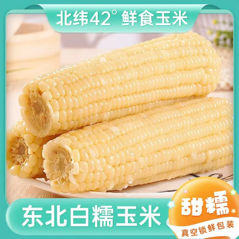 【25年头茬白糯】东北正宗新鲜香白糯玉米200-260g独立包装整箱10支