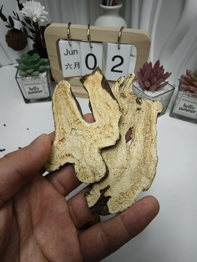茯苓桂枝白术甘草汤