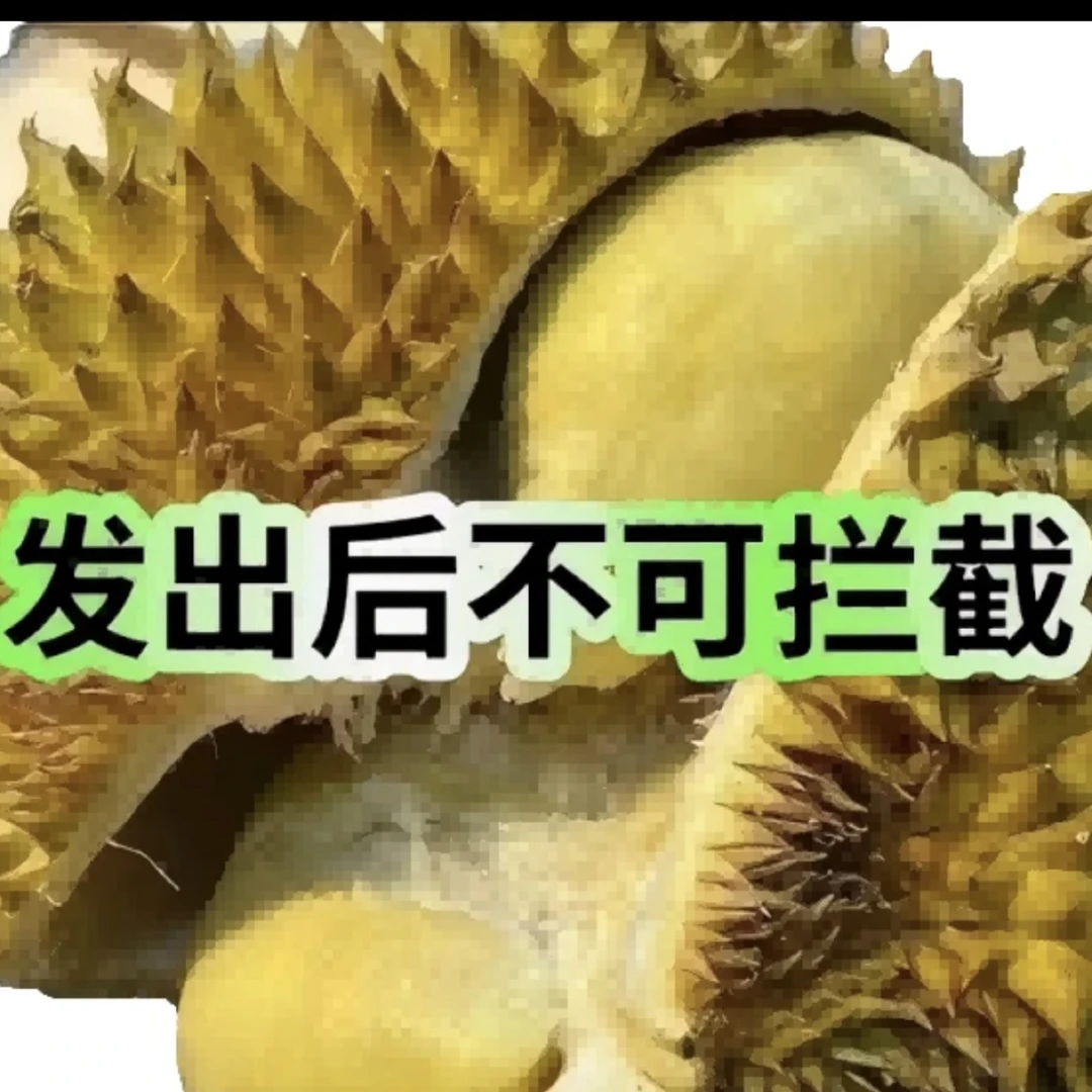 2号金枕榴莲液氮榴莲金枕越南社会主义共和国