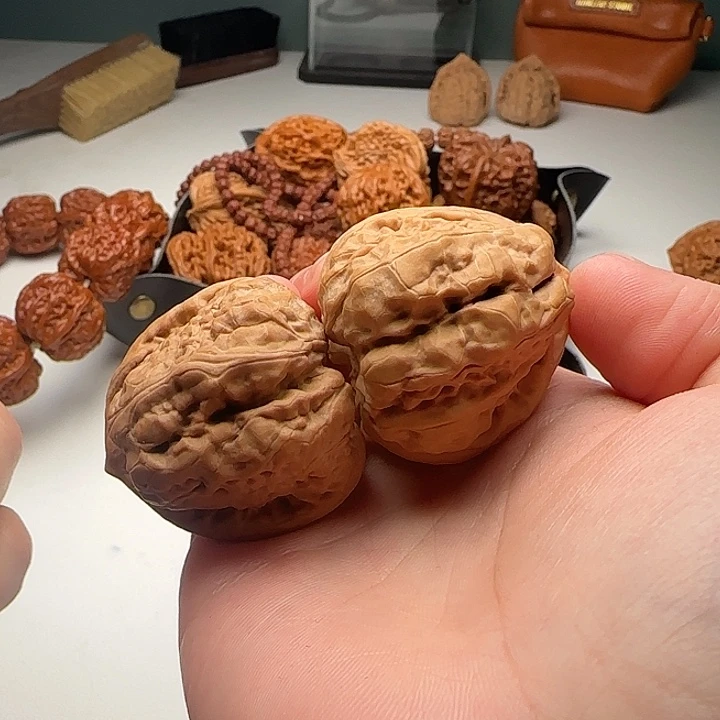 40-44-37蛙蟾型好开背4号