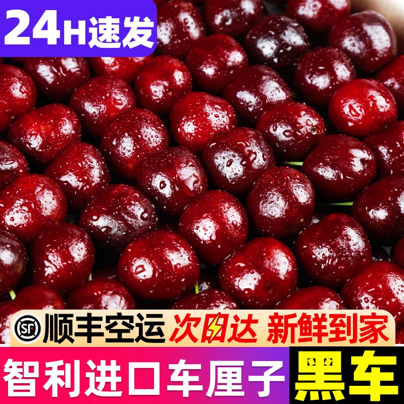 【现货】智利车厘子拉宾斯海运5斤原箱樱桃1J2J3J4J礼盒 内附果径卡