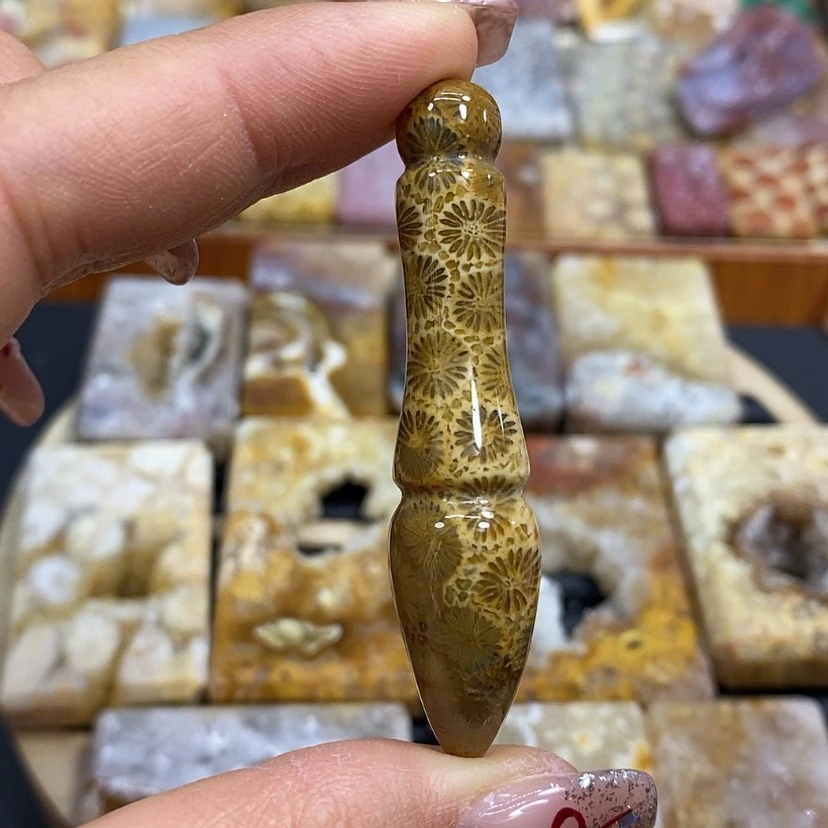 【闪购商品】硅化珊瑚（珊瑚玉）颈饰未镶嵌k 3