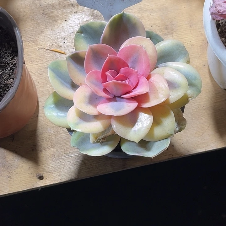 迁***生000000000000000000837