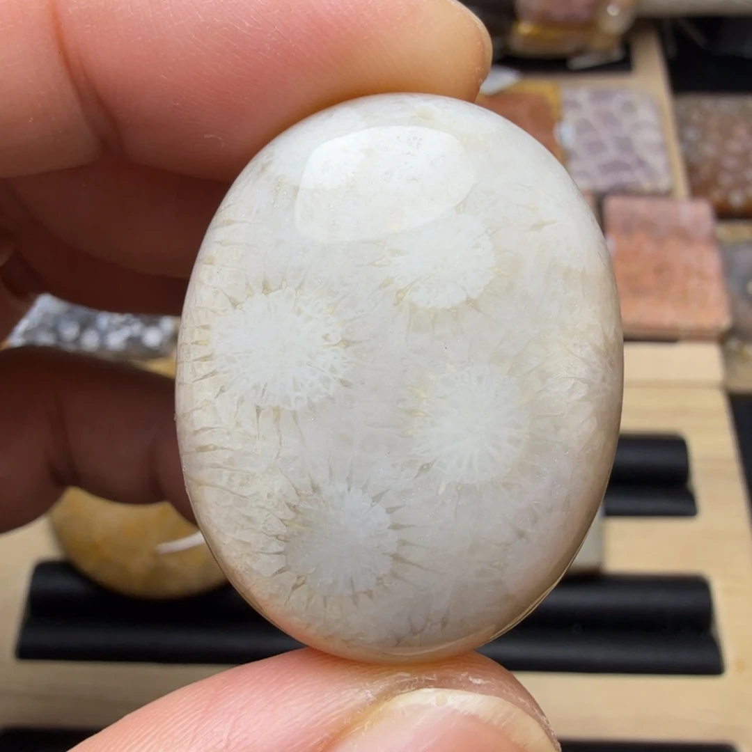 硅化玉未镶嵌纯天然色有机玉石保真色