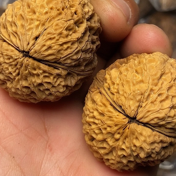 文玩核桃把件云南铁核桃10