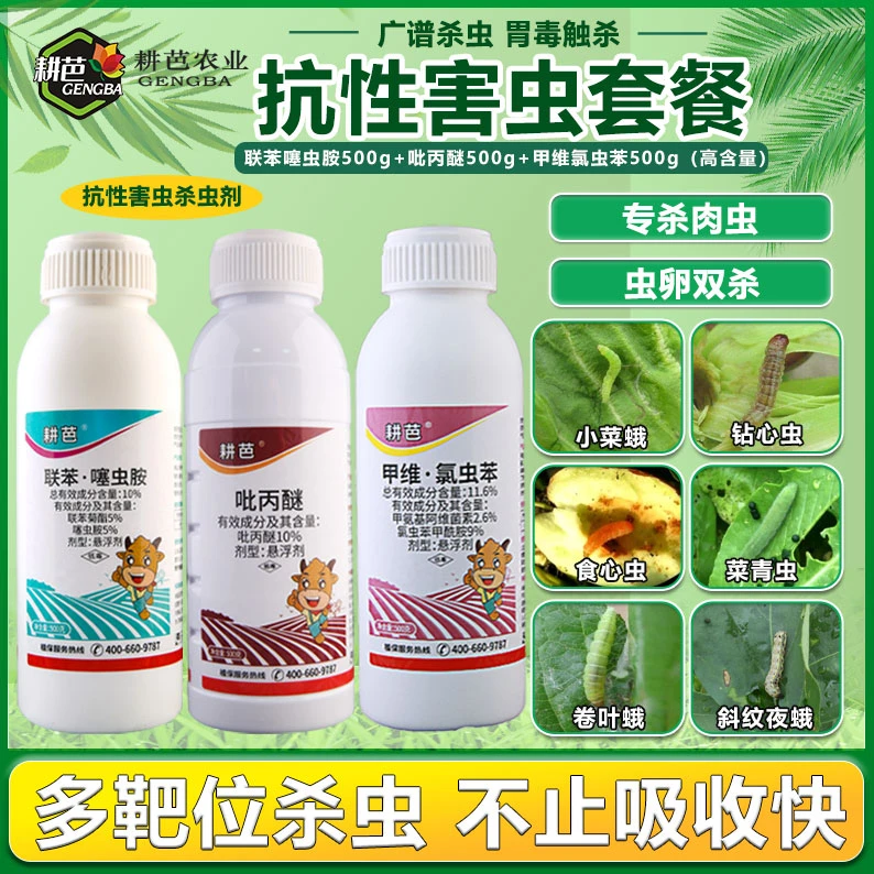 耕芭抗性害虫组合菜青虫套装虫卵双杀专打抗性钻心虫卷叶虫三件套
