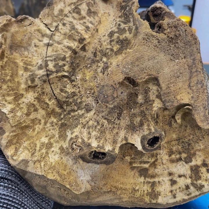 沉香沉香碎屑牧*牧陆河290g