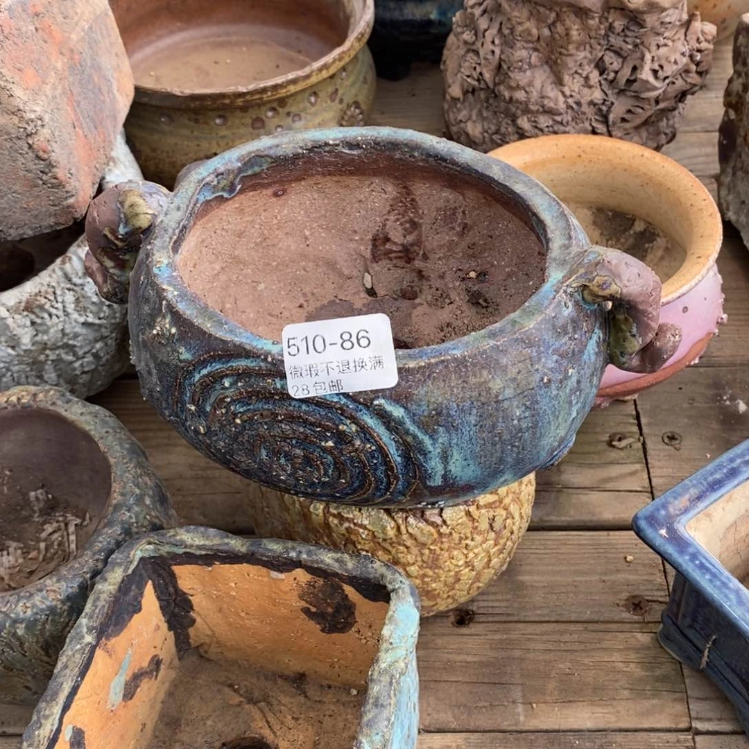 g****486号多肉盆一个呀