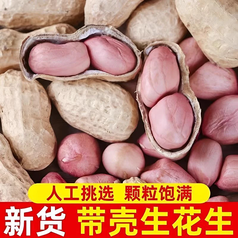 农家自产当季带壳干花生干花生米精挑细选颗粒饱满