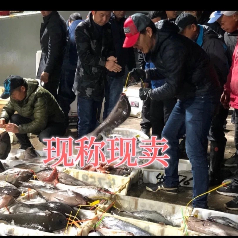 【D现买现称】宁波吕依凌深海海钓鱼套餐