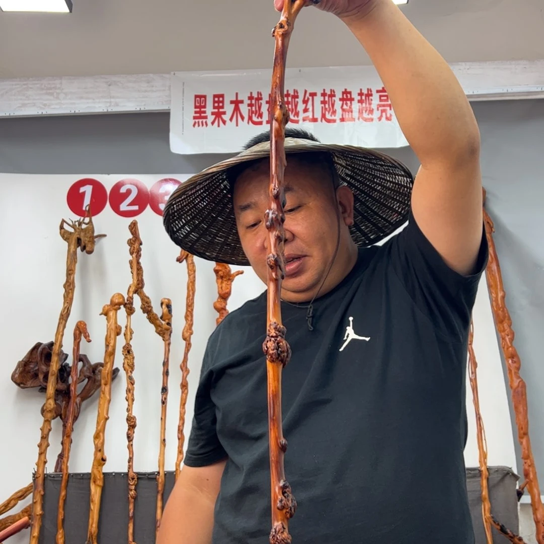 永***变黑果木其他黑果木534