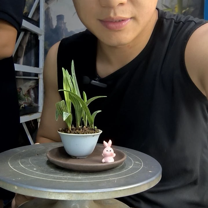 i****g中青园艺一物一拍97