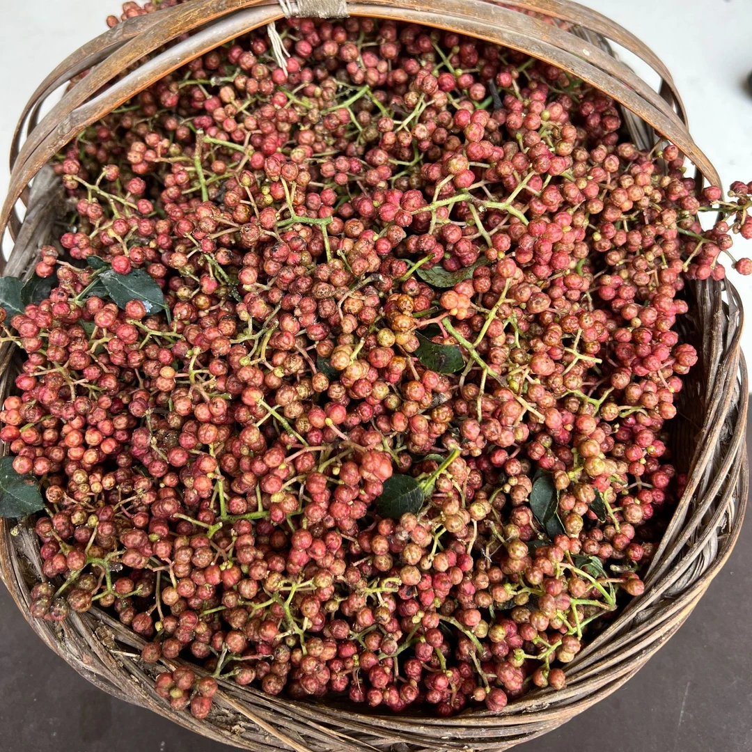 贵州本地新鲜大红袍花椒现摘现发现摘现发又香又麻