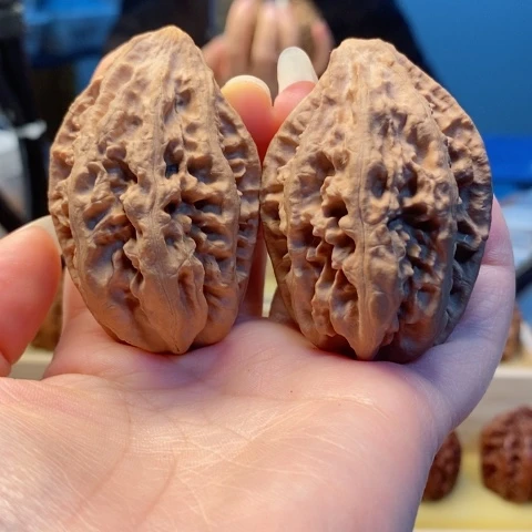 桃核把件科*宽东北秋子