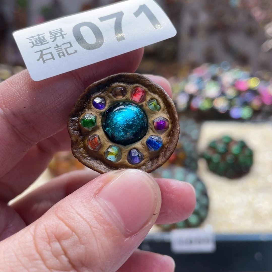 核桃木/黑胡桃（胡桃木）071