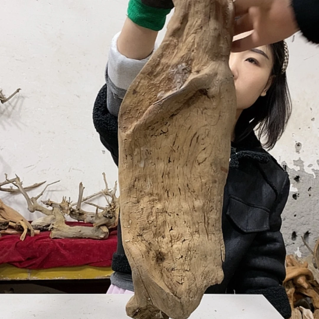 【闪购商品】柏木海****3我们都是好孩子