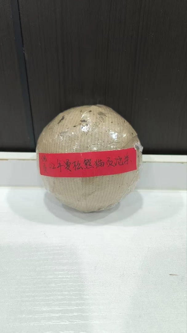 2002年曼松熊猫贡沱茶250克普洱茶生茶-BI00122
