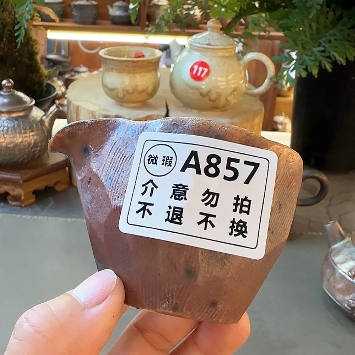 粗砂茶壶柴烧福利新品dd