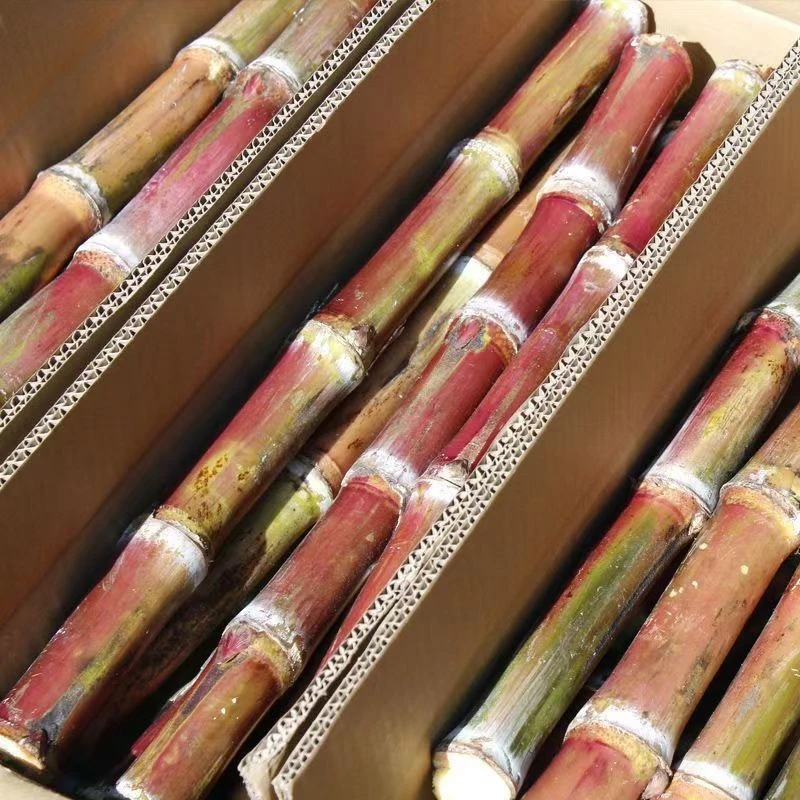 云南红皮甘蔗脆皮甘蔗