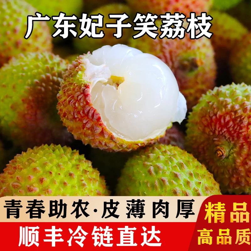 YX青春助农-广东妃子笑老树荔枝新鲜时令水果清甜多汁产地直发