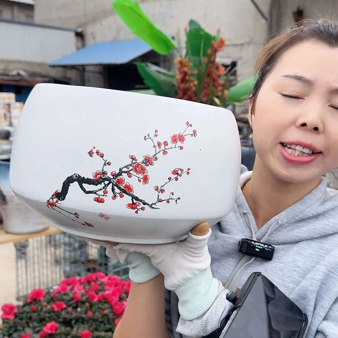 王嫂花盆1104-496高16口24