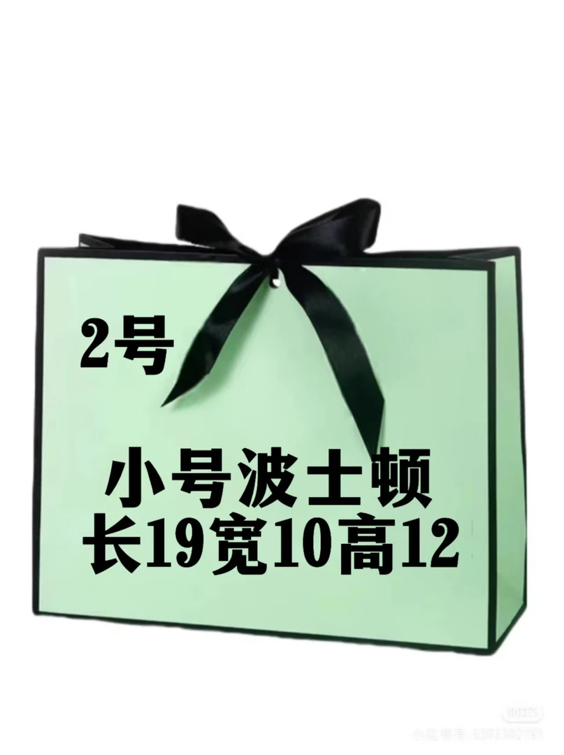 D 002 时尚百搭小波士顿包 8117