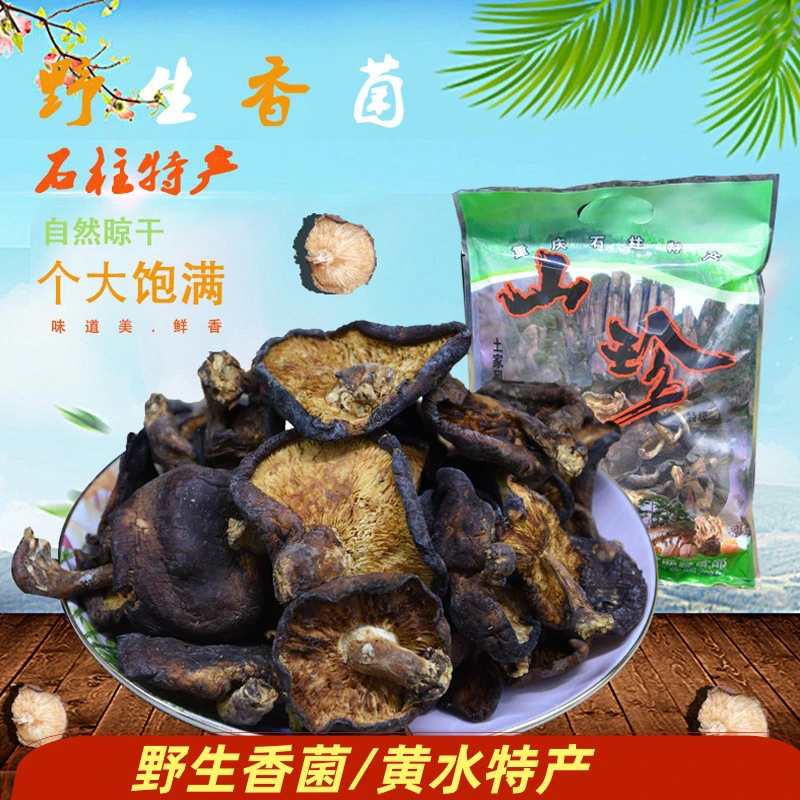 香菌重庆石柱土物产山珍土特产野生食用菌香菇干货营养100克