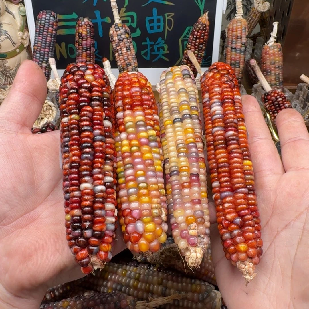 柏香籽/百香籽吊坠泥**啦