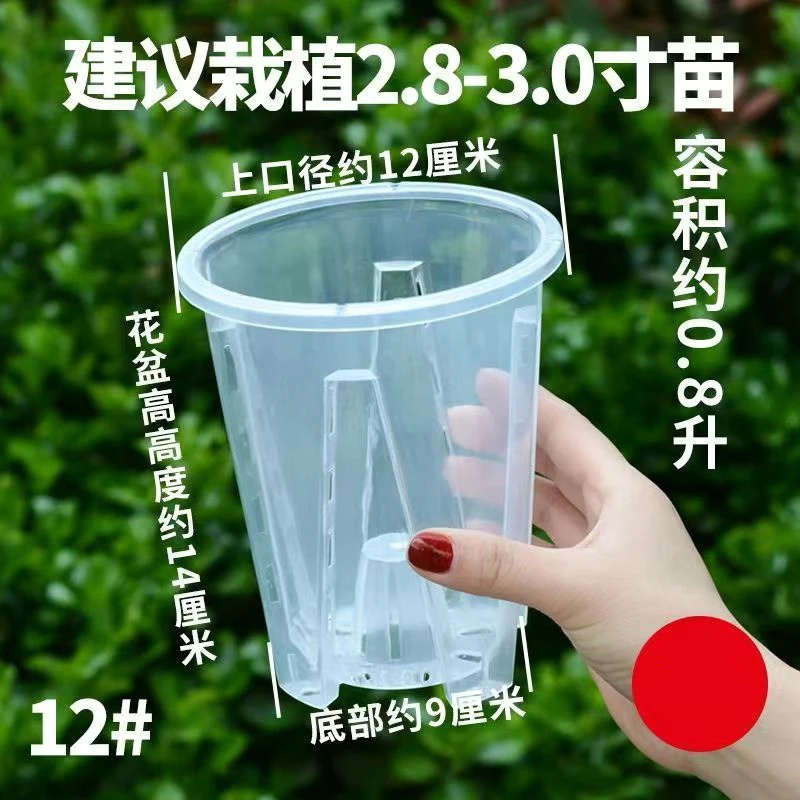 蝴蝶兰专用盆12口径（3个装）