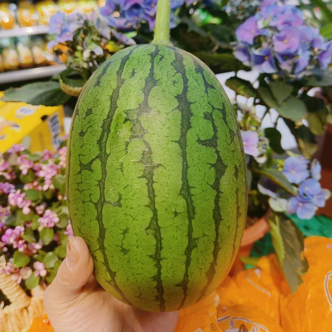 海南牛奶小西瓜一个，1000克海南省