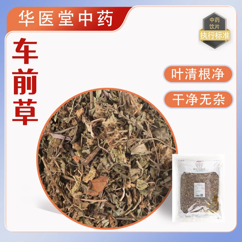 车前草500克中药饮片正规GMP药厂生产实体药房发货