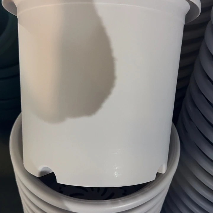 四季6号新灰白无托7个特价微瑕