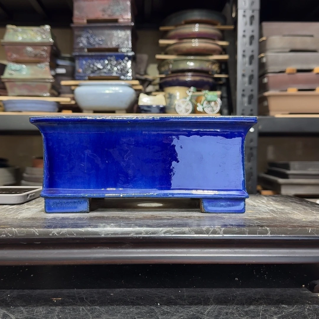 小***江ffghhjjjjgfgghhhbbhgvgvgfv