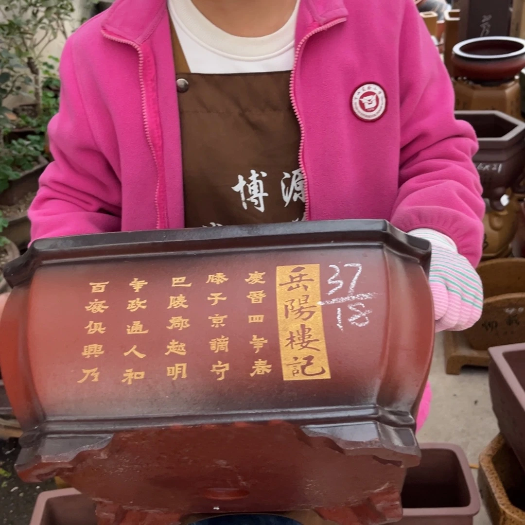 花盆紫砂盆景艺术