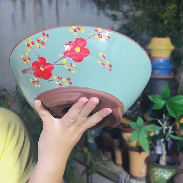绿斗盆点菜中号一个