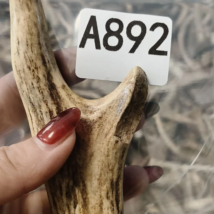 画***人鹿角鹿角鹿角鹿角鹿角