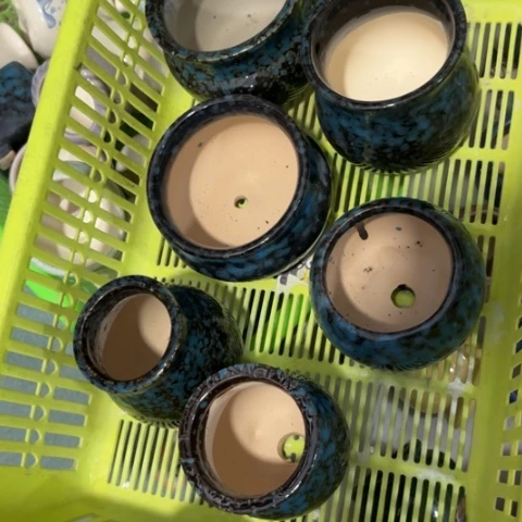 6［本产品默认微瑕品介意慎拍］