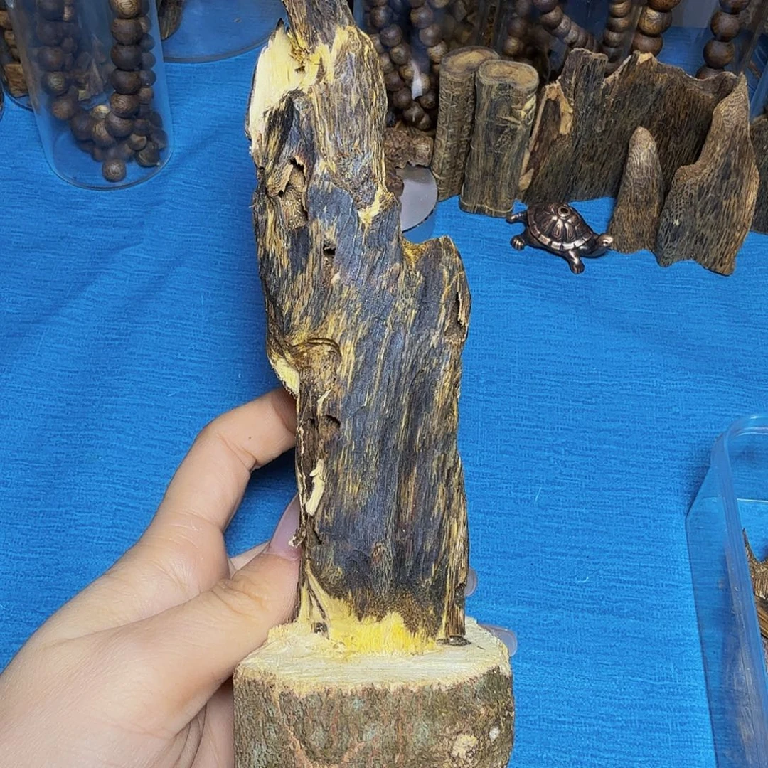 山***川树脂制品虫漏摆件
