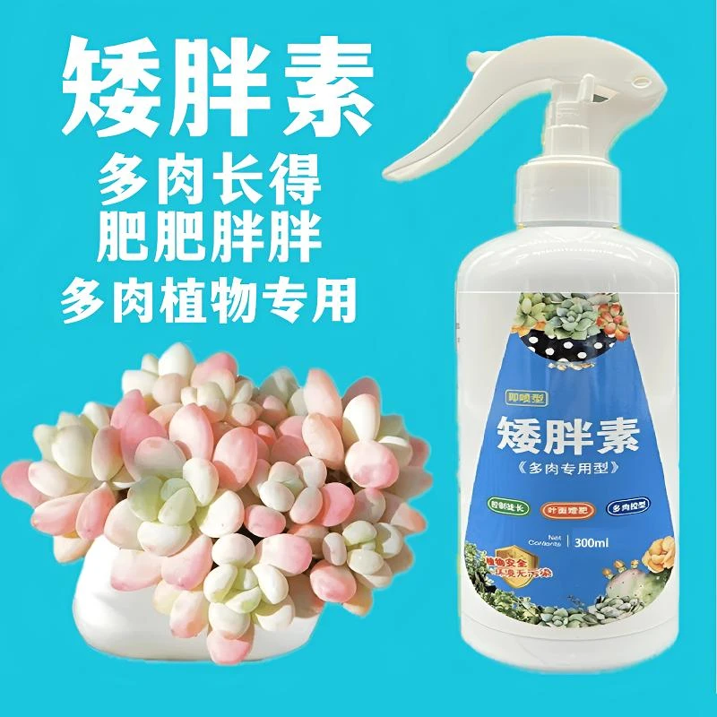 多肉肥料专用矮胖素增色促进生长园艺肥爆芽分裂叶面肥通用肥精致
