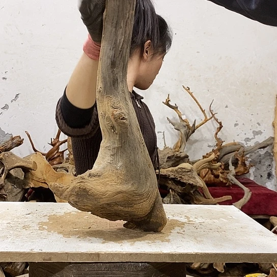 龍***轩柏木我们都是好孩子呀