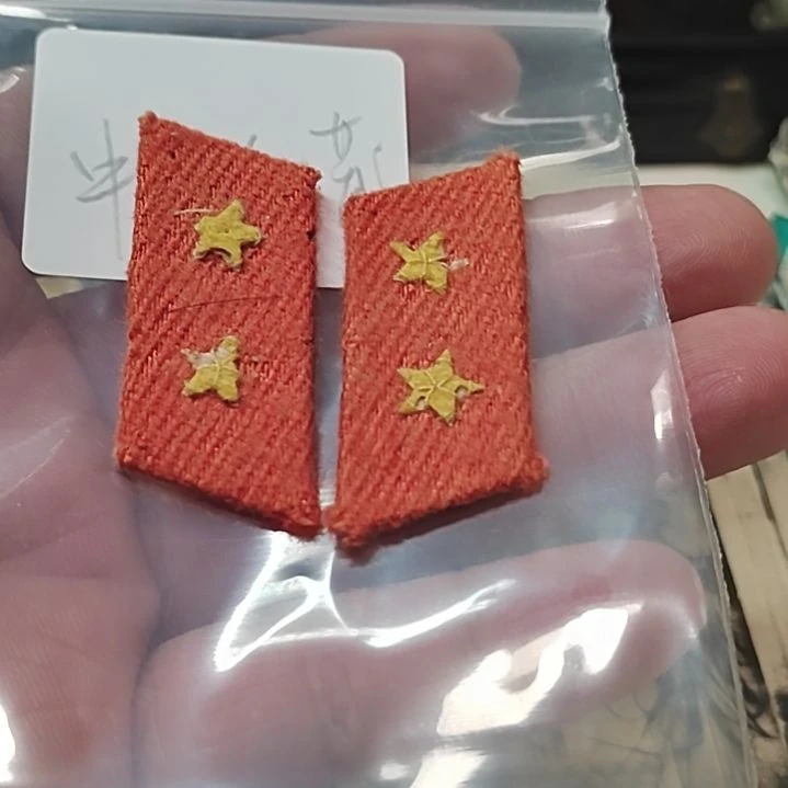 中***究昭和时期的领章纪念章