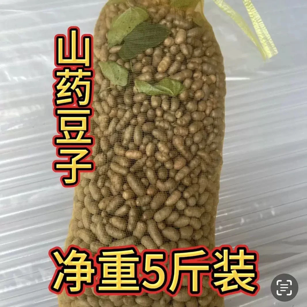 小零余子山药豆子保证软糯粉面2024年新鲜采摘