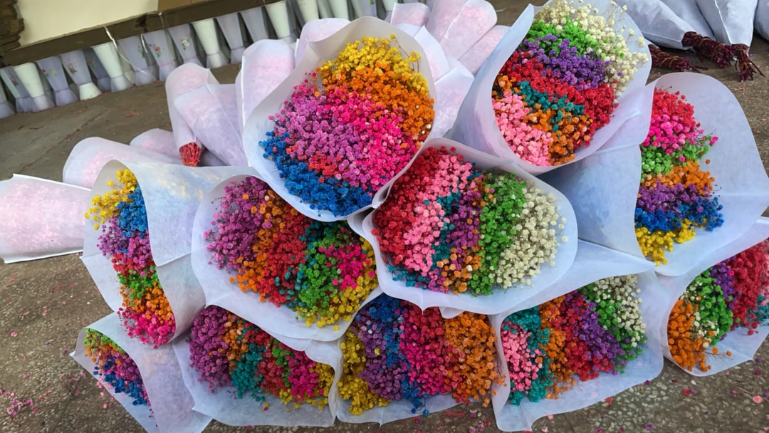 永生满天星特价花头小微瑕疵（不售后）