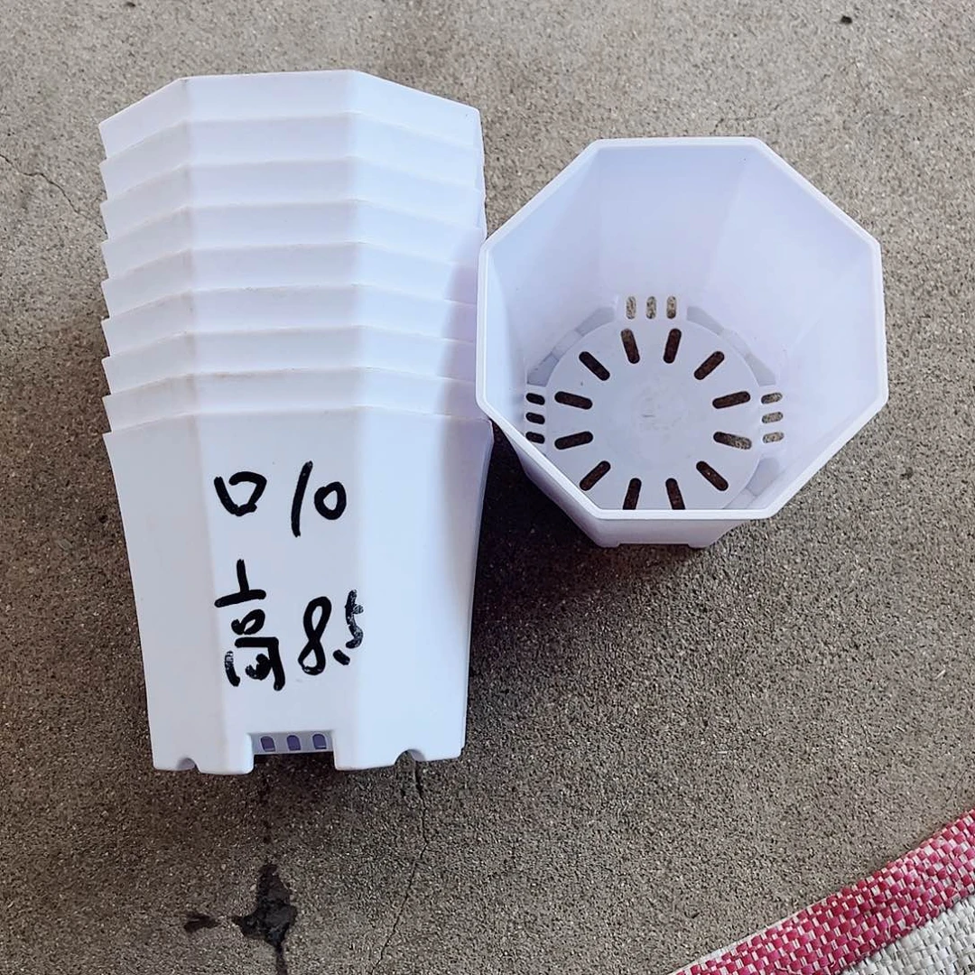 树脂加厚口10方八角白色盆10个无托