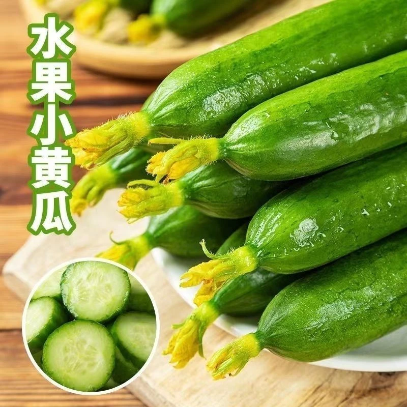 【新鲜直达】水果黄瓜脆甜多汁现摘小黄瓜乳黄瓜新鲜无刺