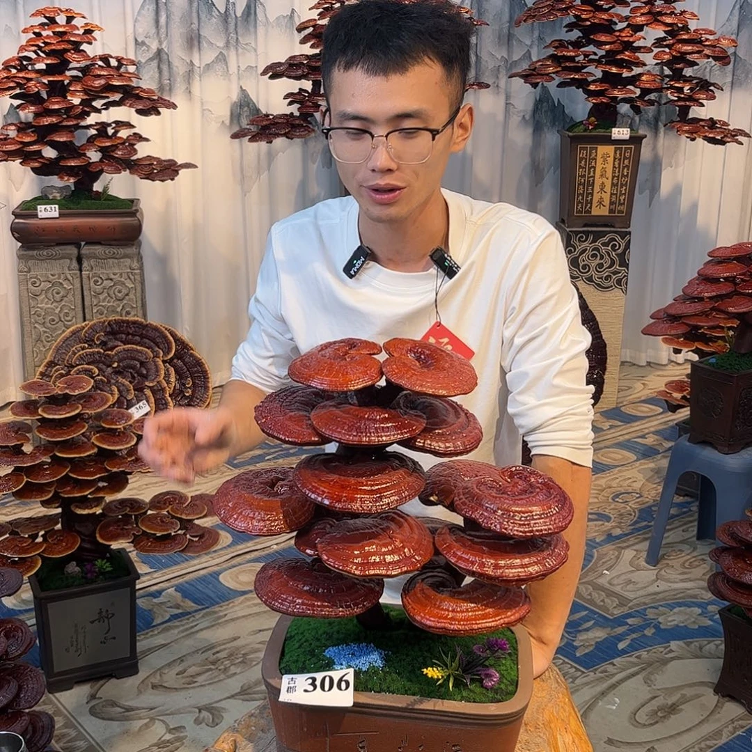 无花朵88888888888888