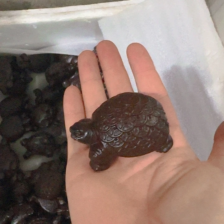 木黑檀木7金钱龟一只