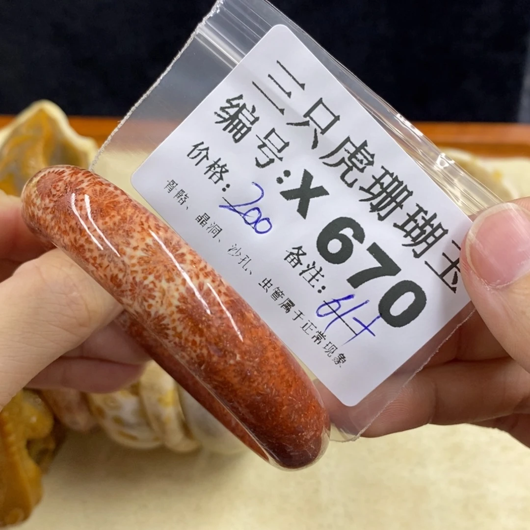 硅化珊瑚（珊瑚玉）1未镶嵌菩***树